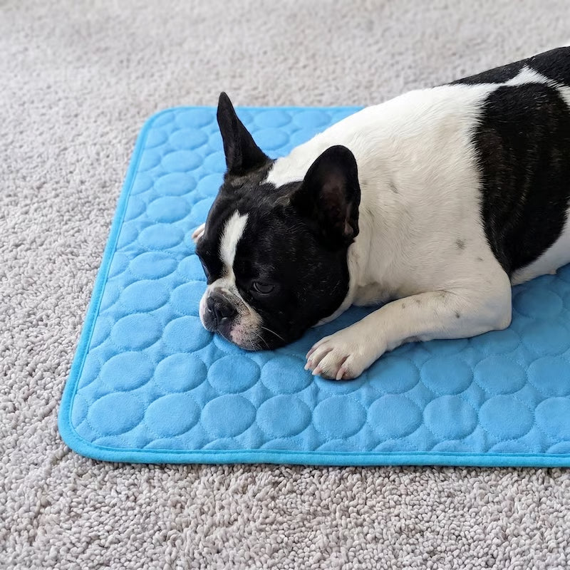 Dogs and their owners have spoken: