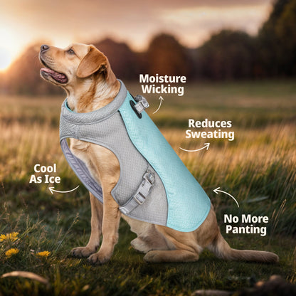 Pet Dog Summer Cooling Vest with Lightweight, Breathable & Reflective Design - Buy 1 Get 1 FREE