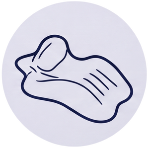 Erogonomic Support