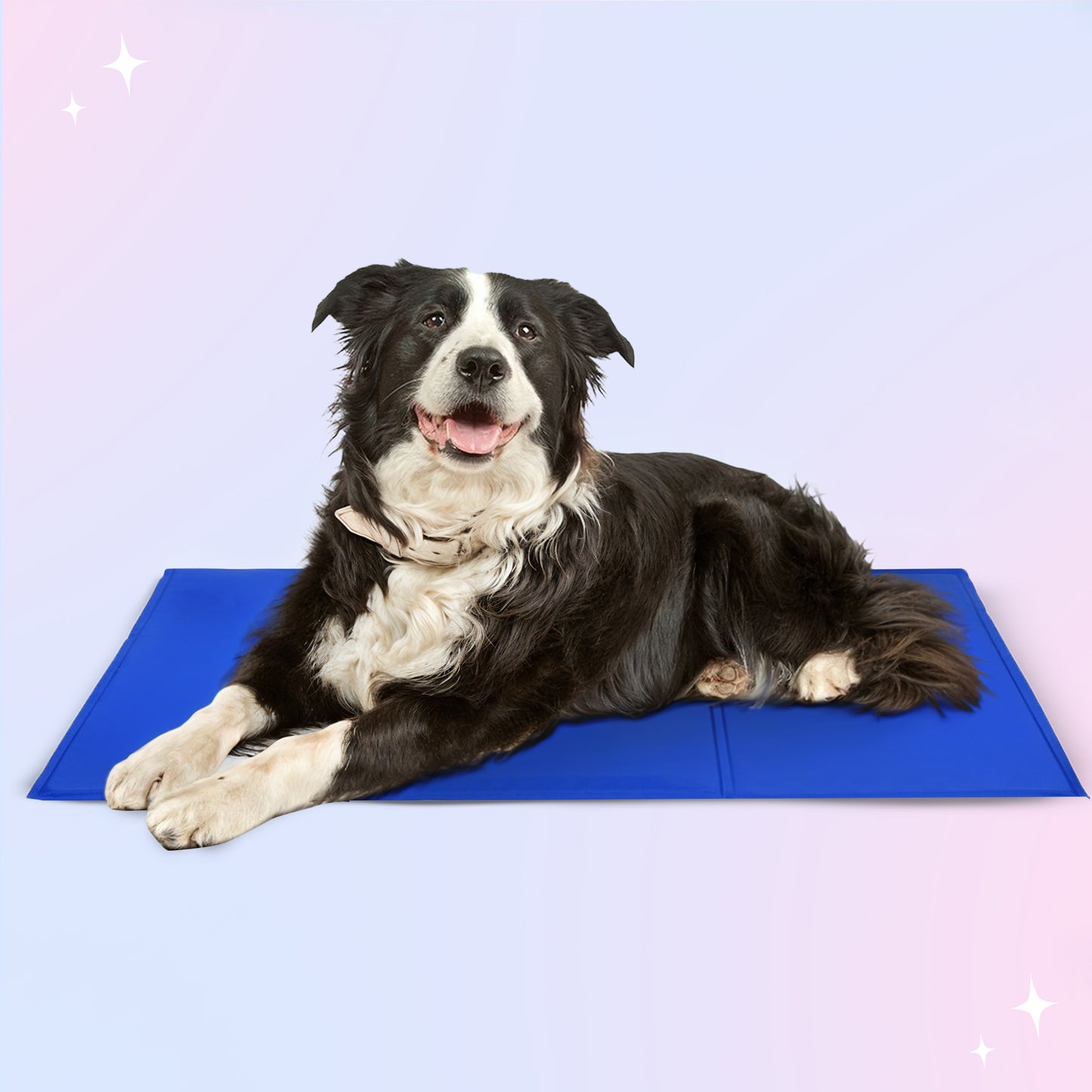 Pet Cooling Mat for All-day Cooling Comfort - Buy 1 Get 1 FREE