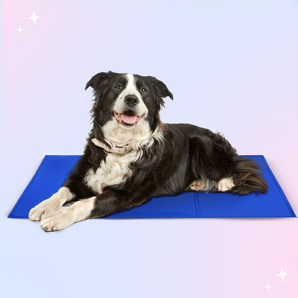 Tappetino Rinfrescante per Animali per Comfort Rinfrescante Tutto il Giorno