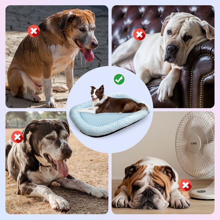 Ice-Silk Cooling Pet Bed