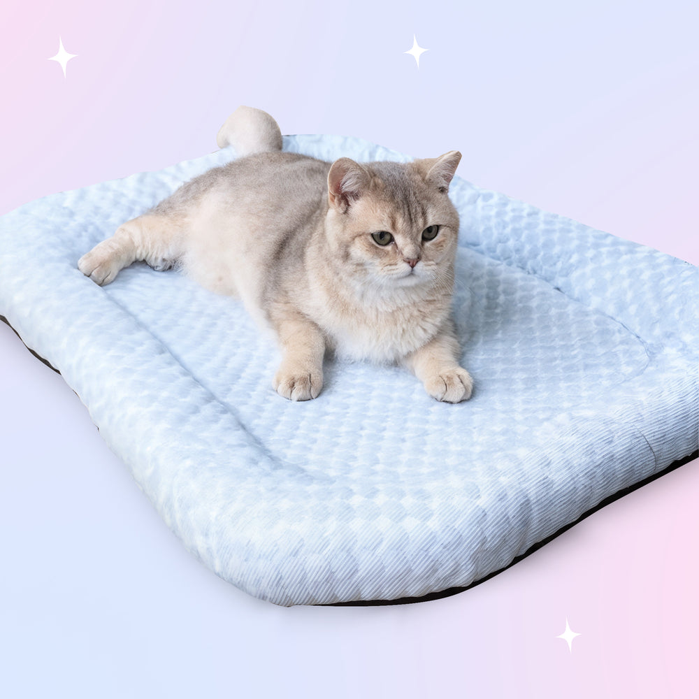Letto Rinfrescante in Seta di Ghiaccio per Animali