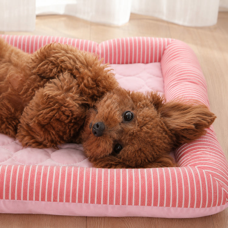 Summer Cooling Dog Mat with Sides