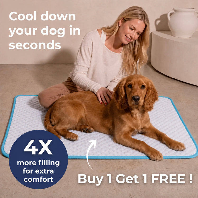Pet Cooling Mat