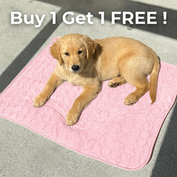 Pet Cooling Mat