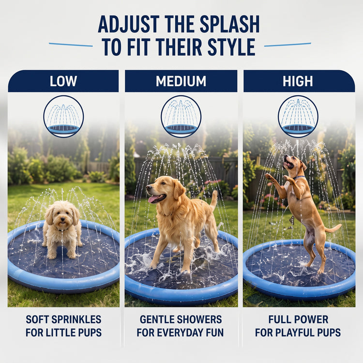 Pet Splash Pad
