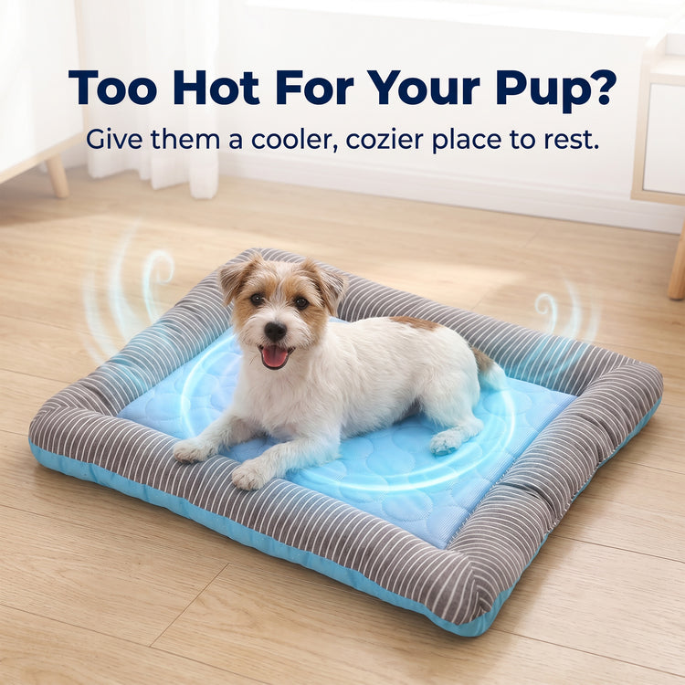 Summer Cooling Dog Mat with Sides