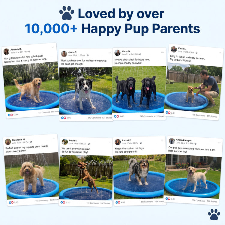Pet Splash Pad