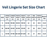 Veil Lingerie Set